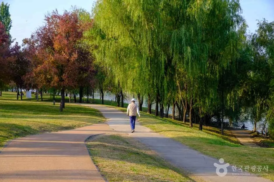 Things to do in Seoul this weekend