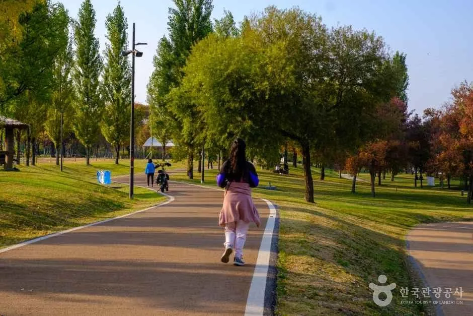 Han River in Seoul in summer