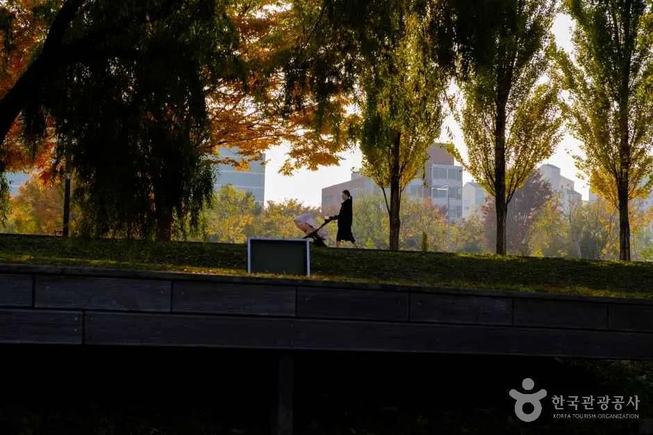 People relaxing at a Han River park in Seoul