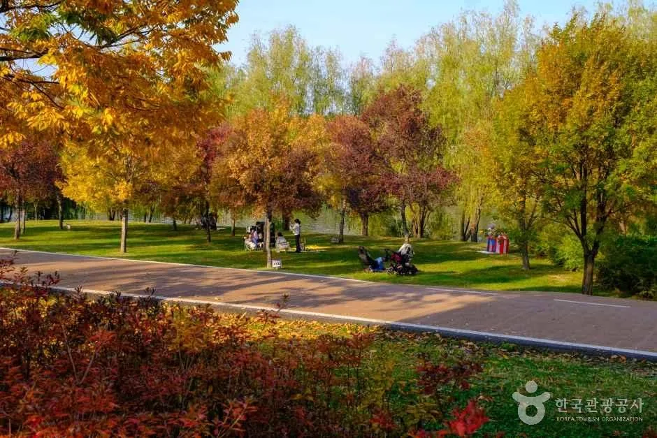 People relaxing at a Han River park in Seoul