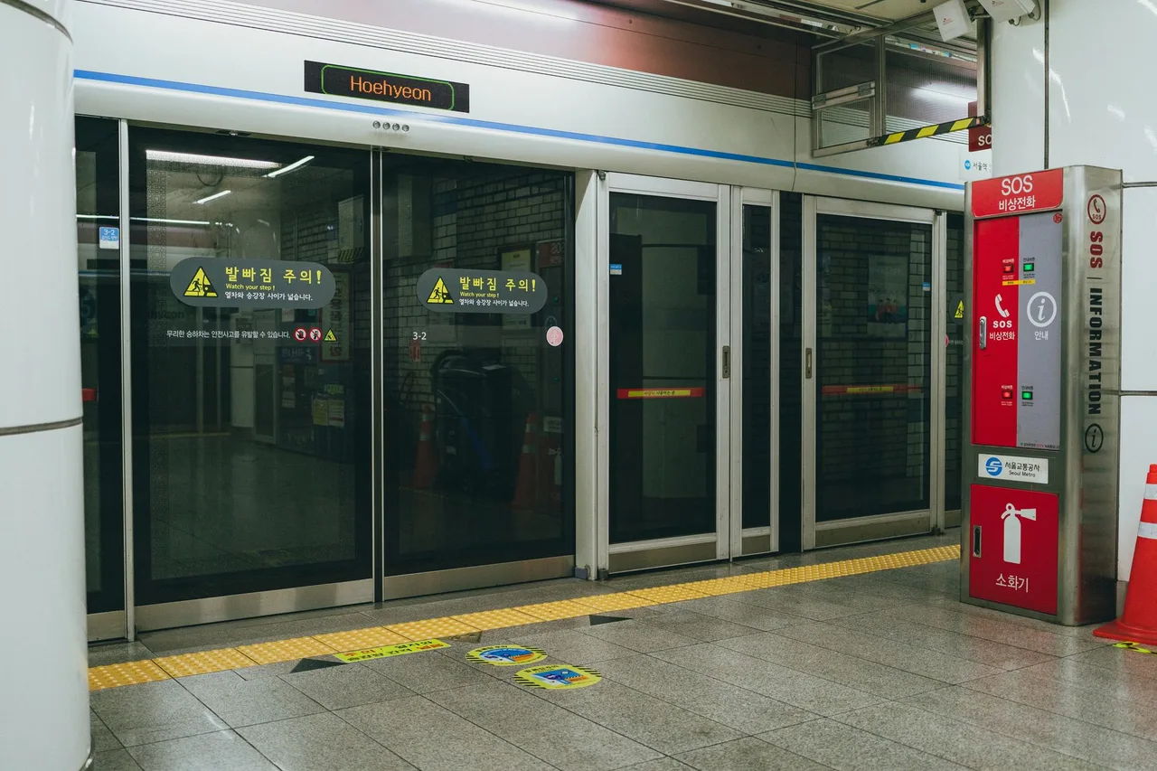 Inside a Seoul subway train